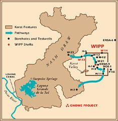 Contaminant Pathways at WIPP