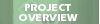Project Overview