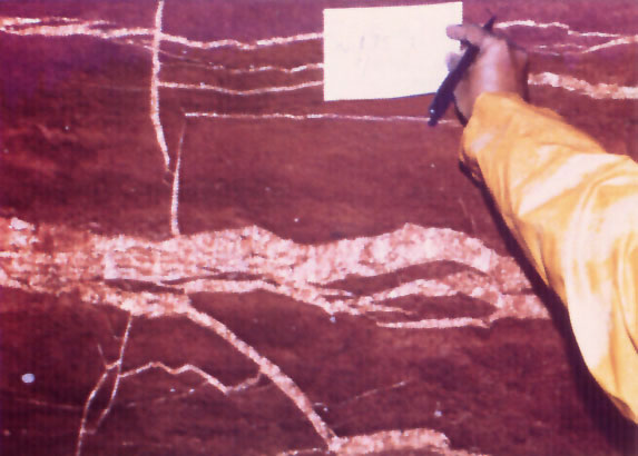 Selenite veins in the Dewey Lake Redbeds