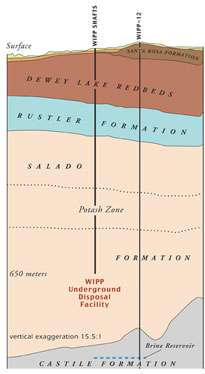 Cross-section at the WIPP Site